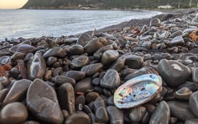 Hongoeka Bay, Patricia Grace's home and setting for many stories