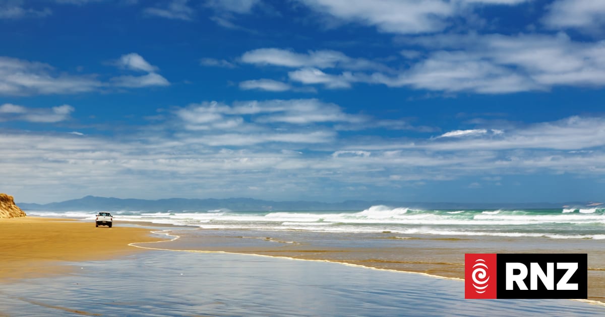 At least 12 whales dead on Ninety Mile Beach as rescue continues
