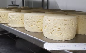 One of the first commercial batches of Shenley Station Blue.