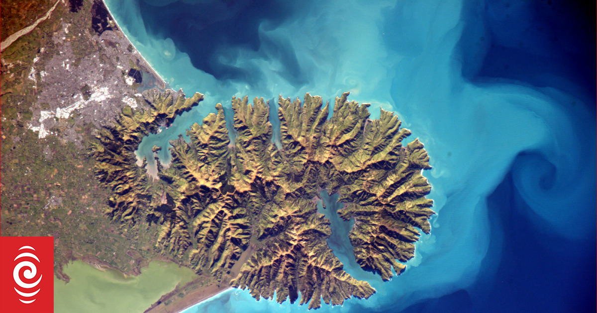 Oil spill reported off coast of Banks Peninsula - Vimarsana News