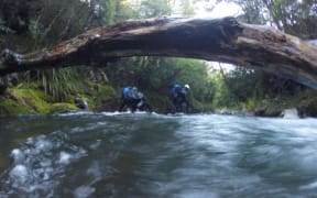The Police National Dive Squad searched the Matawai Stream.