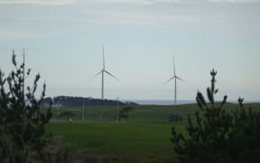 Wind turbines viewable in the distance in Waipipi