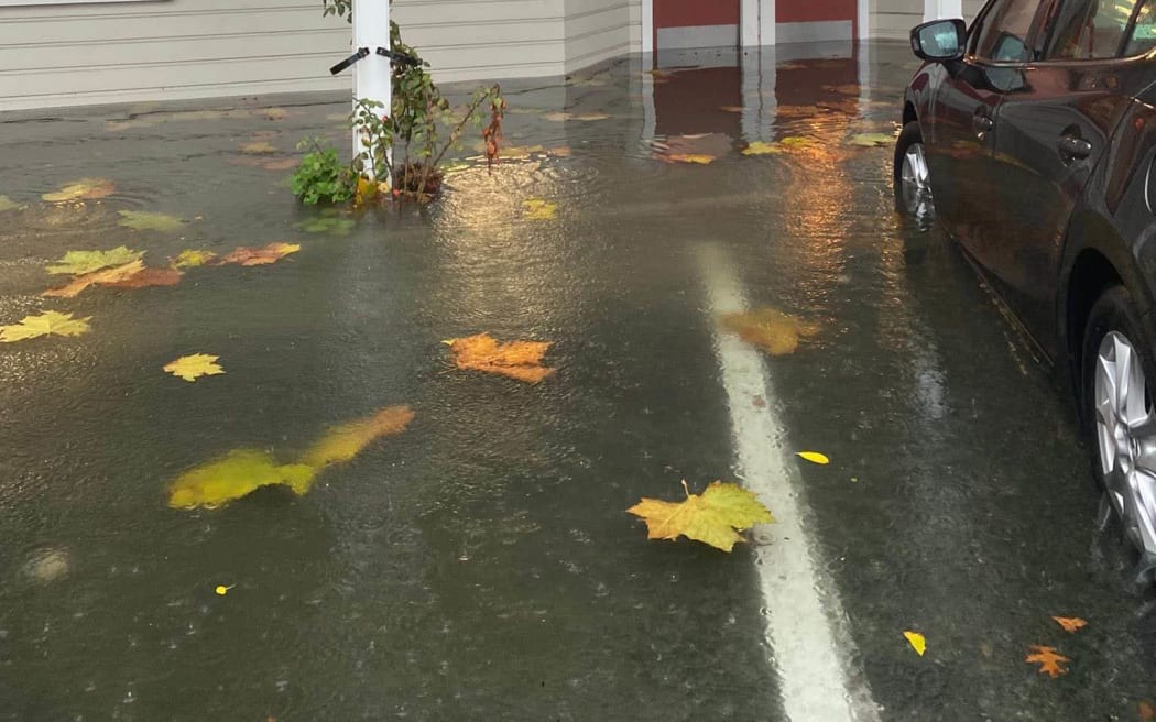 Flooding in Nelson.