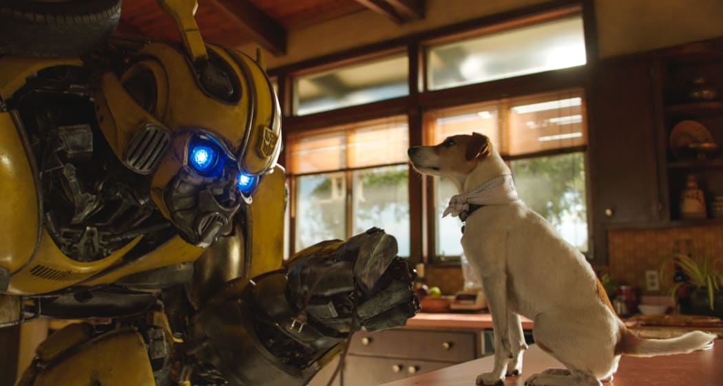 Bumblebee in BUMBLEBEE, from Paramount Pictures. (That’s the offical caption.)