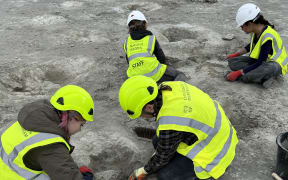 A handout photograph taken by vertebrate palaeontologist, Dr Emma Nicholls, and released by the Oxford University of Natural History on January 2, 2025 shows members of the excavation team working on the footprints at the Dewars Farm Quarry, north of Oxford in central England on June 17, 2024. - Nearly 200 dinosaur footprints were discovered this summer in a quarry in Oxfordshire, an exceptional site among the largest in the entire country, the universities of Oxford and Birmingham announced on Thursday, January 2, 2024. (Photo by Emma NICHOLLS / Oxford University Museum of Natural History / AFP) / RESTRICTED TO EDITORIAL USE - MANDATORY CREDIT "AFP PHOTO / EMMA NICHOLLS / OXFORD UNIVERSITY MUSEUM OF NATURAL HISTORY  " - NO MARKETING NO ADVERTISING CAMPAIGNS - DISTRIBUTED AS A SERVICE TO CLIENTS