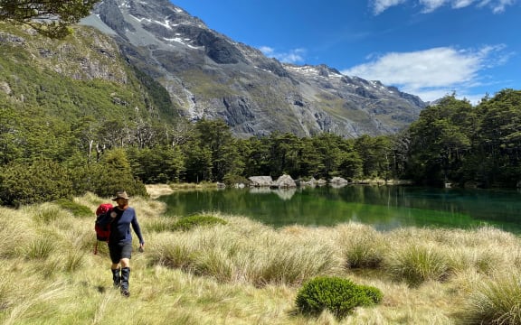 A tramper walks along the shore of Nelson Lakes National Park's Rotomairewhenua 
 or Blue Lake, which has the clearest water in the world.