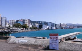 Wellington Sewage pipe blockage
