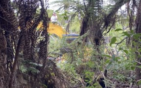 A woman was arrested at Western Springs forest after climbing on top of contractors' digger.