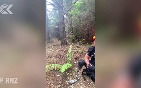 Video footage of Canterbury cat released - but how big is it?