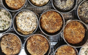 Scott Wynands GF bread