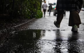 Wellington Rain