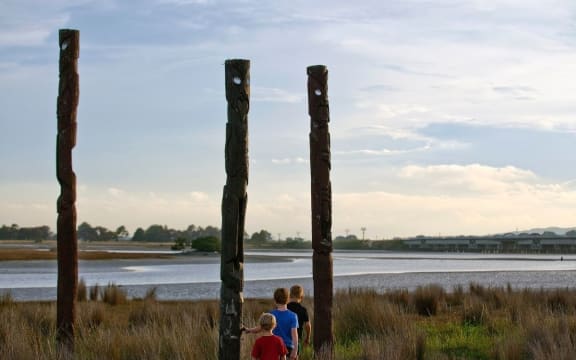 Voters in the council’s Māori ward referendum chose to remove it.