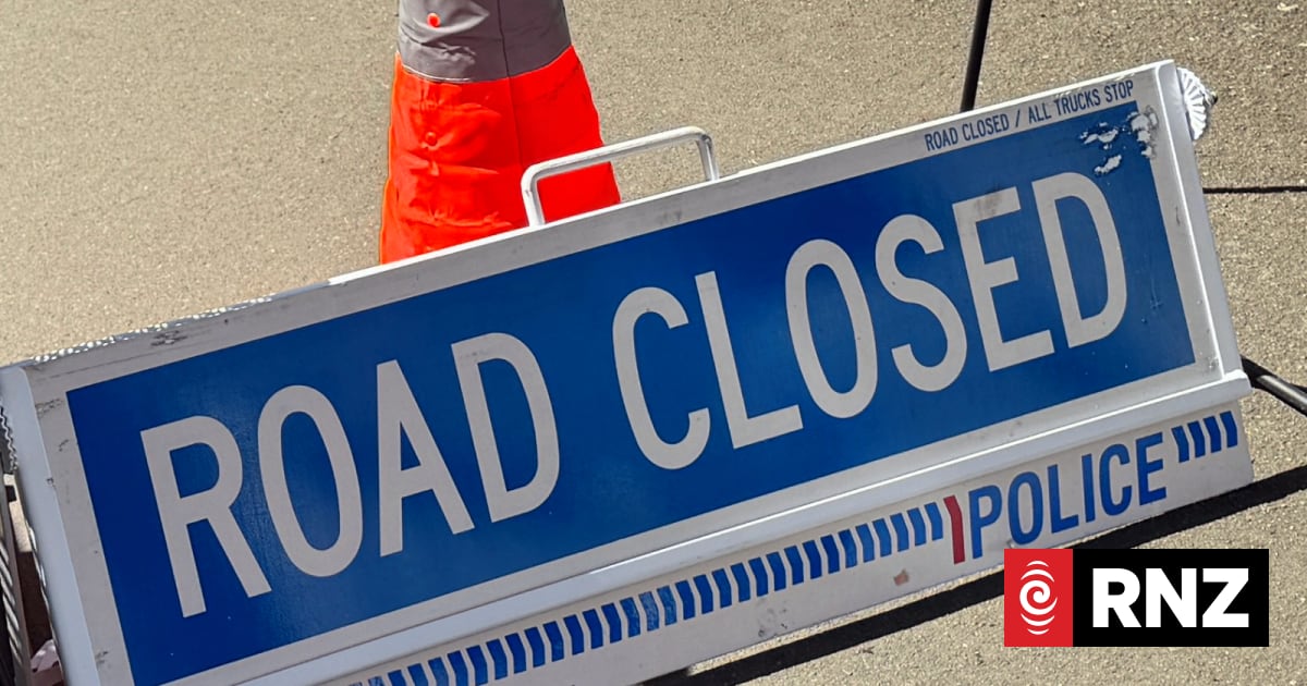 Part of Hamilton highway closed after car hit pedestrian