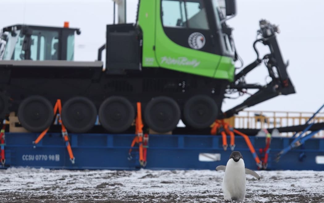Adélie penguin wandering around heavy machinery at Scott Base