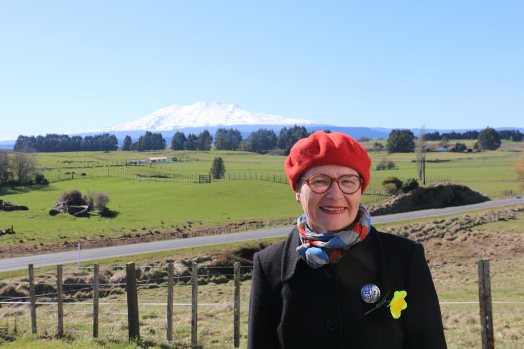 Architect Christina Van Bohemen is helping to plan the restoration project of the Temepara.