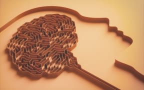 3D illustration, brain shaped maze. Concept image of study and brain behavior. (Photo by Science Photo Library via AFP)