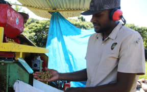 Fiji coffee being processed on site
