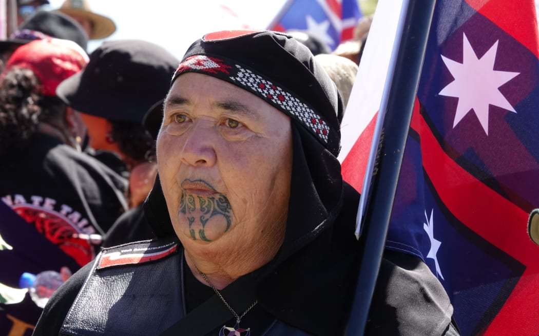 A marcher on the hīkoi.