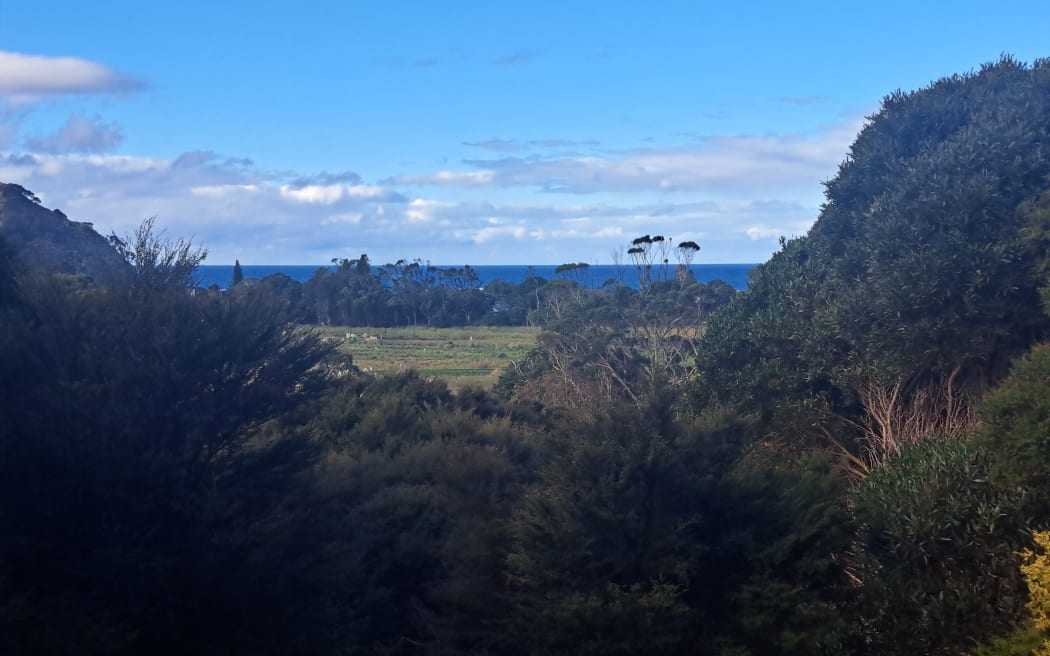 Medlands Beach on Great Barrier Island.
