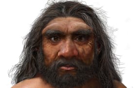 A handout photo obtained on June 25, 2021 from EurekAlert! shows an illustration of a portrait of Dragon Man. - Scientists announced Friday that a skull discovered in Northeast China represents a newly discovered human species they have named Homo longi or "Dragon Man,"