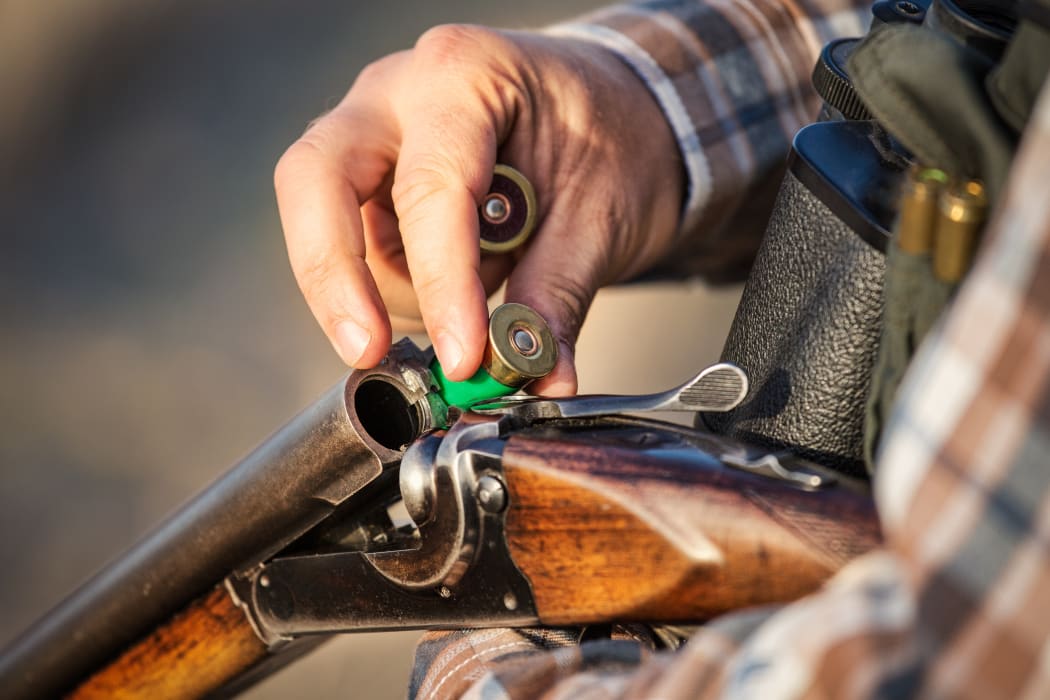 A hunter loads a rifle with ammunition.