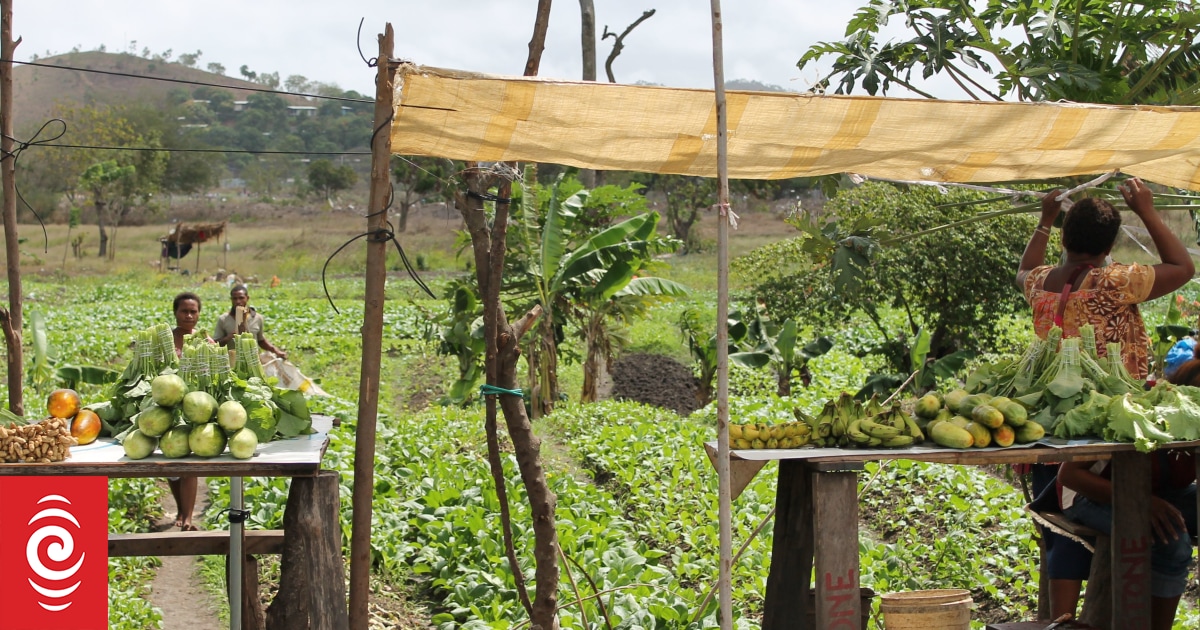 Agriculture seen as a solution to PNG's jobs crisis