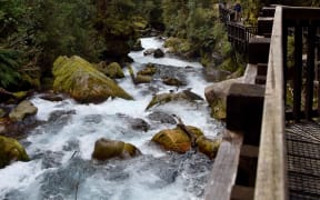 The cascade landscape of Marian Creek at the viewing platform along the Lake Marian Track.