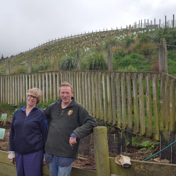 Vicki Carlyon and Mike Stewart have been working on transforming their Lyttelton property with native plantings for the last three years.