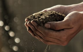 Hands holding soil