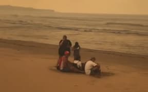 Tathra residents huddled on the beach to escape the destructive bushfire