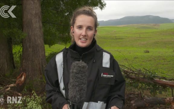 Nita Blake Persen at the scene of this morning's Taupo crash