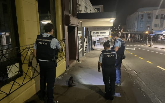 Police staff escorting a seal pup that had made its way into New Plymouth CBD back to the foreshore.