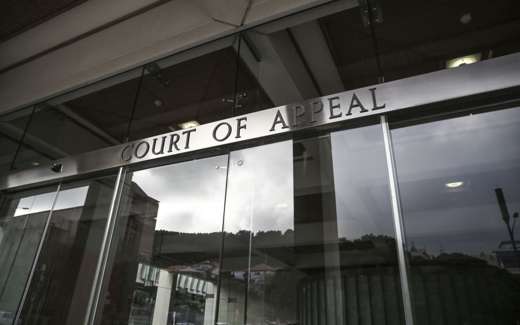 09082016. Photo Rebekah Parsons-King. Pike River families want mine's CEO to face charges. Court of Appeal Wellington.