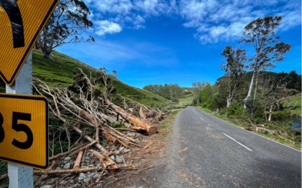 Power lines down in Riversdale in Wairarapa