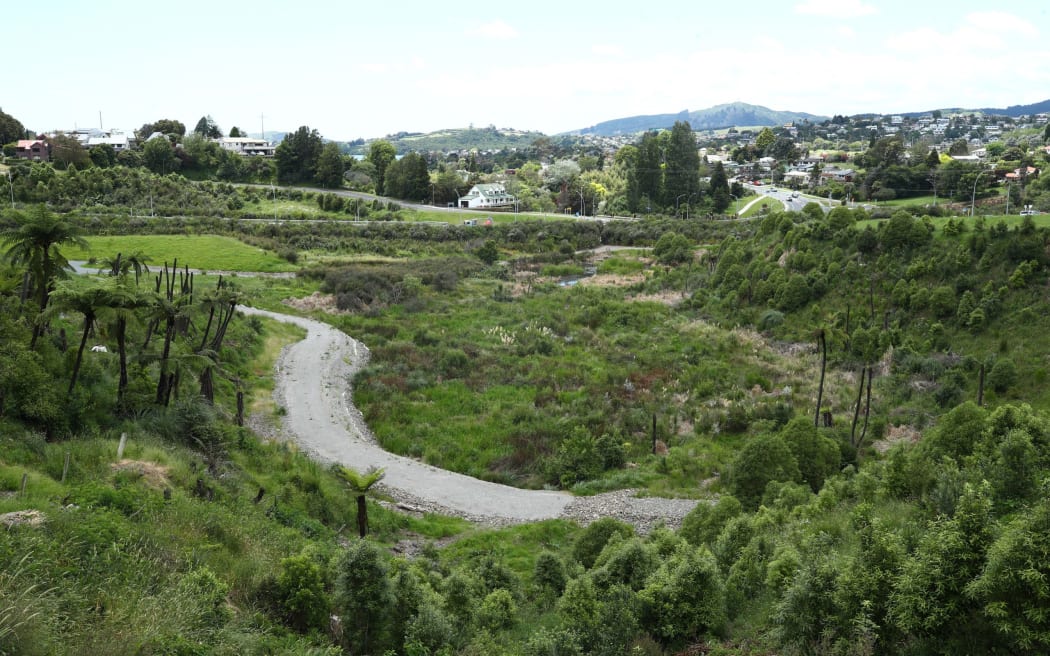 Te Pahou Reserve - single use only