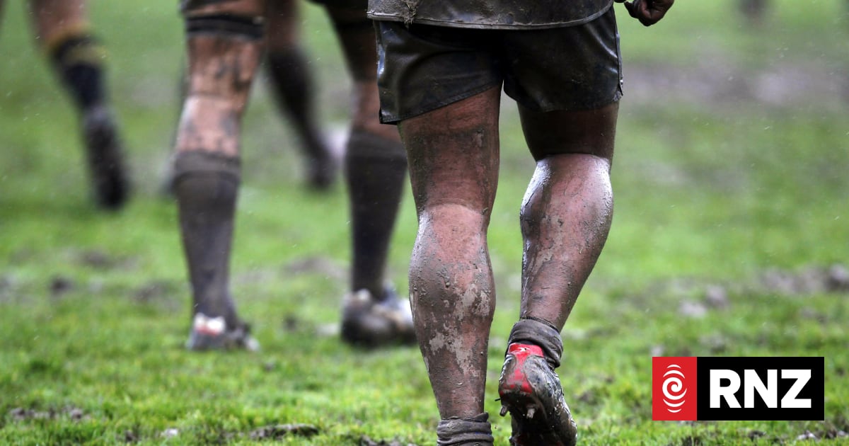 Referees withdraw from Wellington club rugby over ongoing abuse