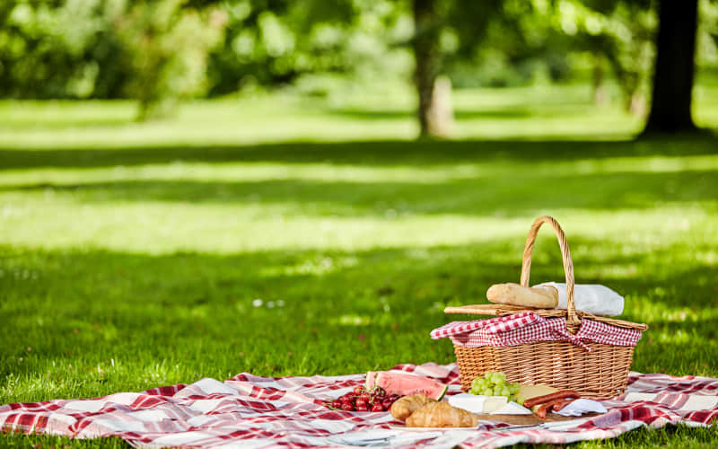 When does spring actually start? And what can we expect this season? | RNZ