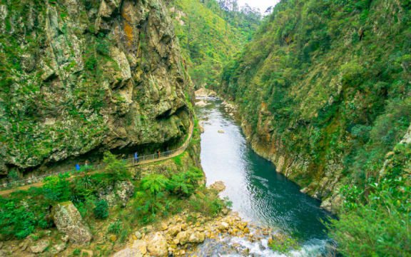 New Talisman Gold Mines has been prospecting at Karangahake Gorge (file photo).
