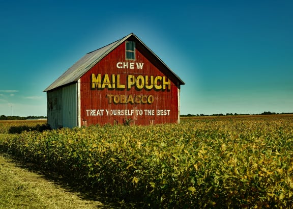 Tobacco
