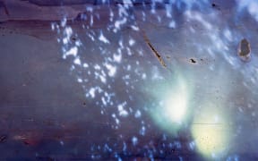 Clay, stone, sticks, frond stem of mamaku, water, light, 87 centimeters x 2.5 meters, Archival Inkjet Print, 2023