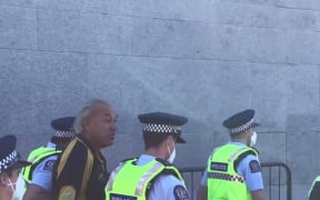 Protester Brent Powers being arrested at Parliament this afternoon.
