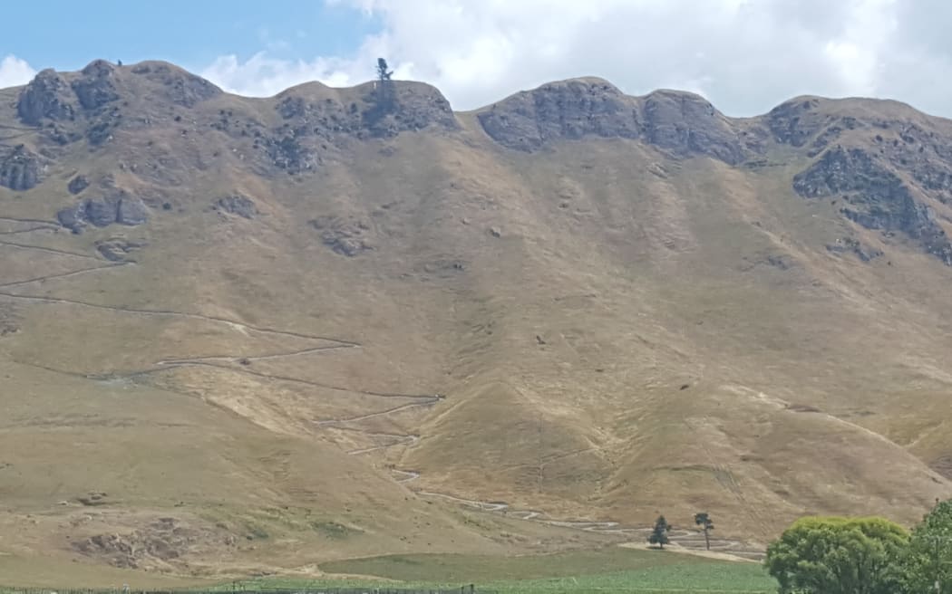 The Te Mata walking track.