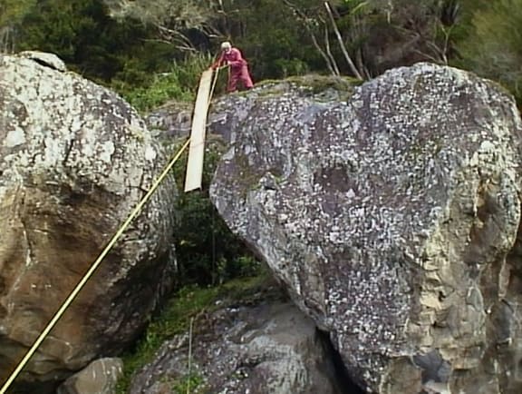 This is am image of Felix Schaad in 2000, using a flying fox to transport planking for  bridges and board walks