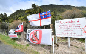 Signs against a sewerage scheme at sacred Lake Rotokākahi. Photo / Laura Smith