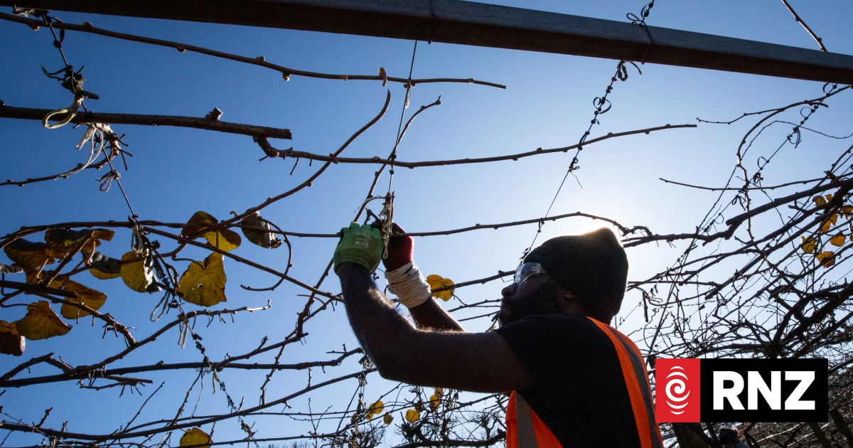 'Not here for a holiday': What standards RSE workers should expect