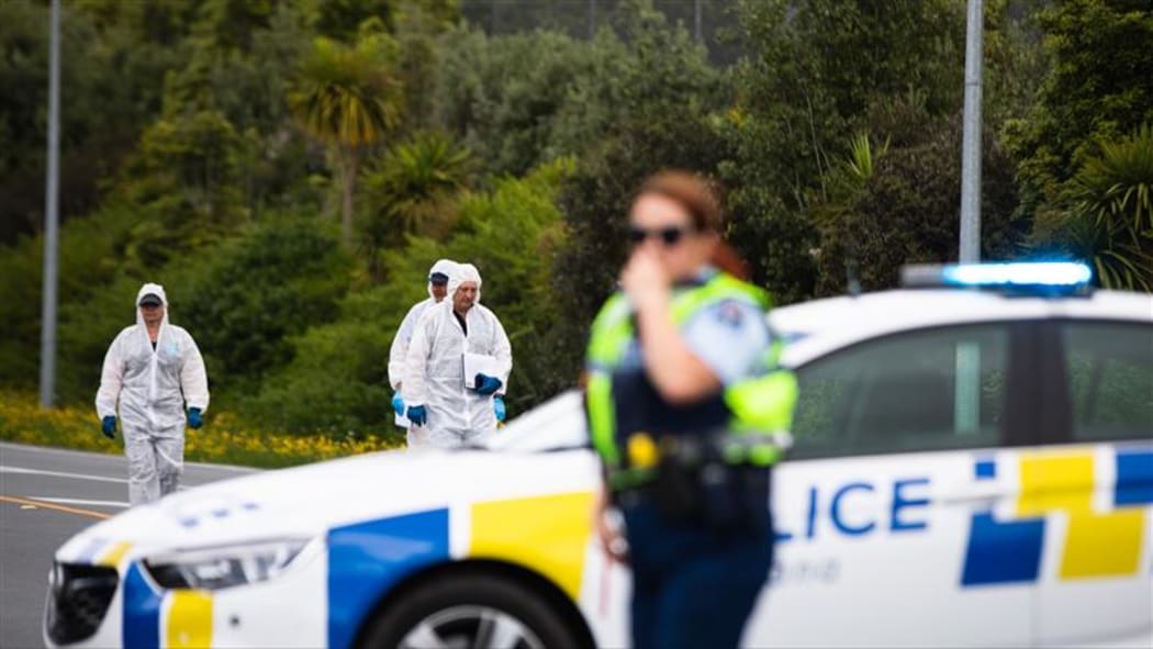 Police investigating after shots were fired at a patrol car in Whangārei.