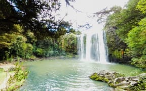Whangārei Falls.