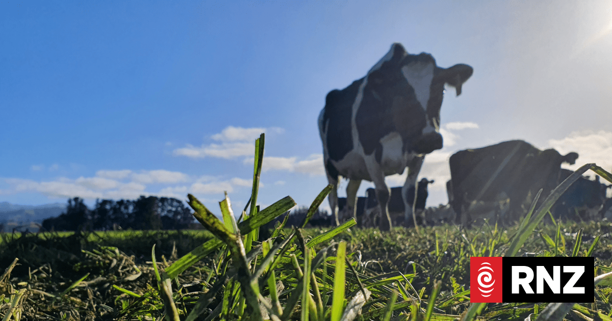 Synlait Milk, Nestlé to fund programme cutting greenhouse gas emissions - Vimarsana News