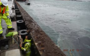 An oil slick at Tauranga Harbour on 27 April 2015.