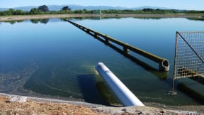 A water treatment pond in South Wairarapa
